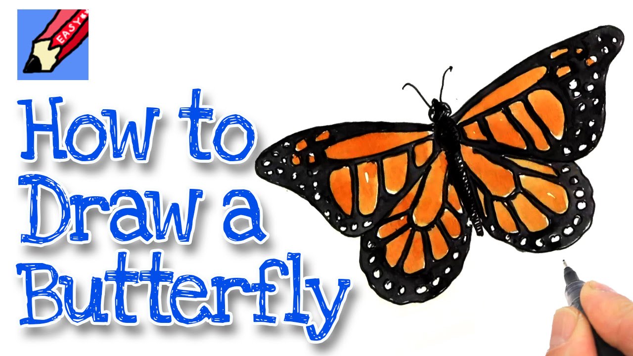 How to draw a Monarch Butterfly Real Easy - YouTube