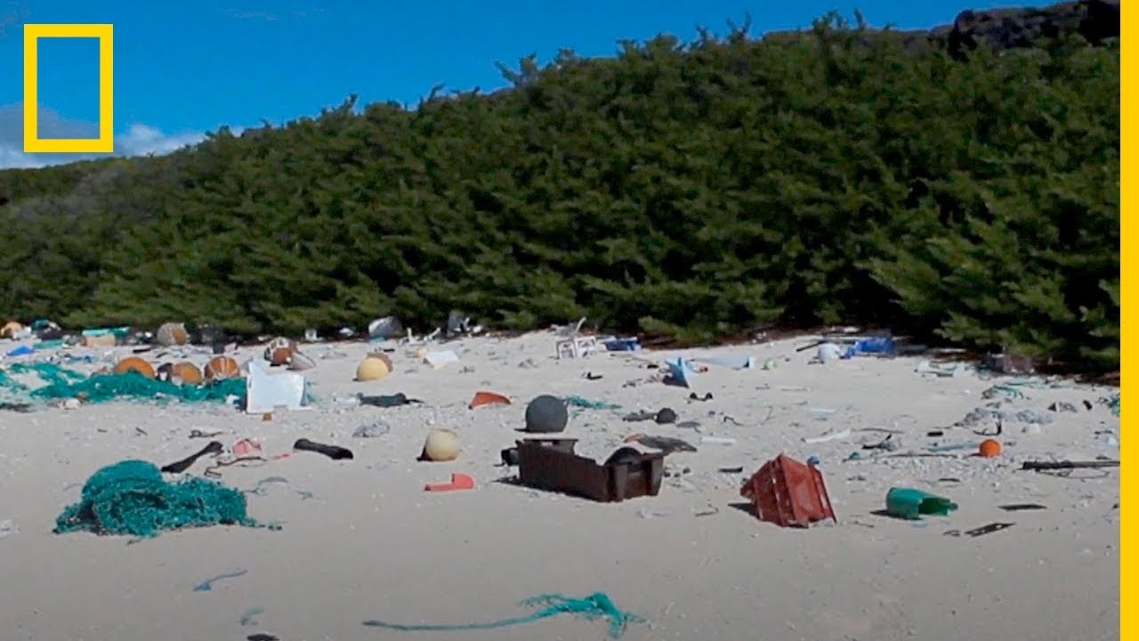 38 millones de trozos de PLÁSTICO cubren esta ISLA REMOTA del PACÍFICO | NatGeo en Español videos de ciencia ficcion