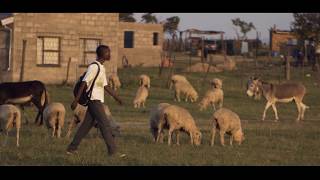 Download Lagu Sentebale's Youth Hub MP3