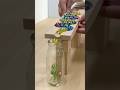 Marble Run ASMR ☆ HABA Wave Slope! Milk bottle #shorts #marblerun @onemarblerun