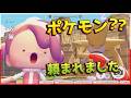 ポケモン完全初心者、エビワラーにお願いされる【ぽこあポケモン実況 #3】