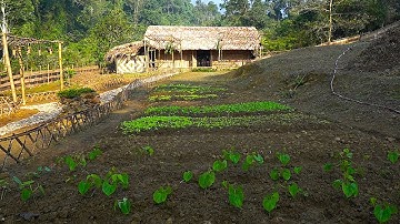 FULL VIDEO/150 Days: Farm Renovation & Building Process (Free) |Growing - Harvesting