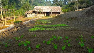 FULL VIDEO\/150 Days: Farm Renovation \& Building Process (Free) |Growing - Harvesting