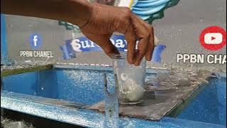 PESERTA 068 batu yang kokoh lolos uji tembak mantap