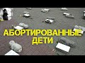 Абортированные дети. о.Максим Каскун