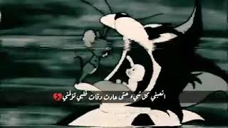 توم وجيري رفقا في قلوبنا ايتها البطه حالات واتس اب 💔