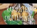 Kaksosten syttminen