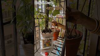 Chhath Series नहय खय Ki Hardik Shubhkamnaye छठ पज 2025