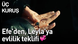 Üç Kuruş | Efe'den, Leyla'ya Evlilik Teklifi ❤️❤️