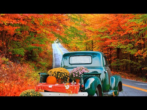 Video: New England Fall Foliage -risteilyt ja veneretket