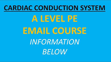 A LEVEL PE: The Cardiac Conduction System