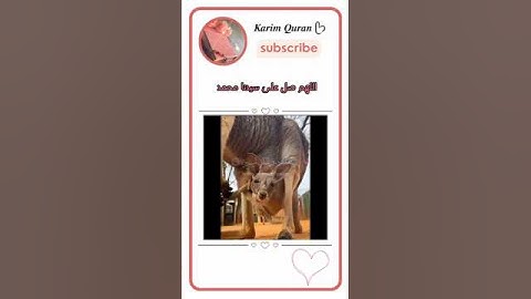 هذا خلق الله|سورة لقمان~الآية11~القارئ #اسلام_صبحي ~🎧🤍 #karim_quran_1