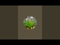 Kanha Flowers is live!