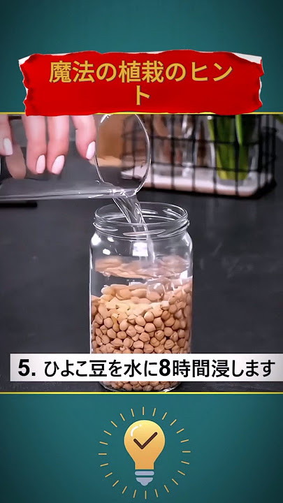 収穫と活用方法