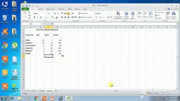 CBSE CA Computer Application Class-7 Ch-6 Practical-7 Excel Practical to find total sale of a day