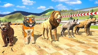 Animal Racing Simulator: Wild Animals Race Game Android Gameplay screenshot 5