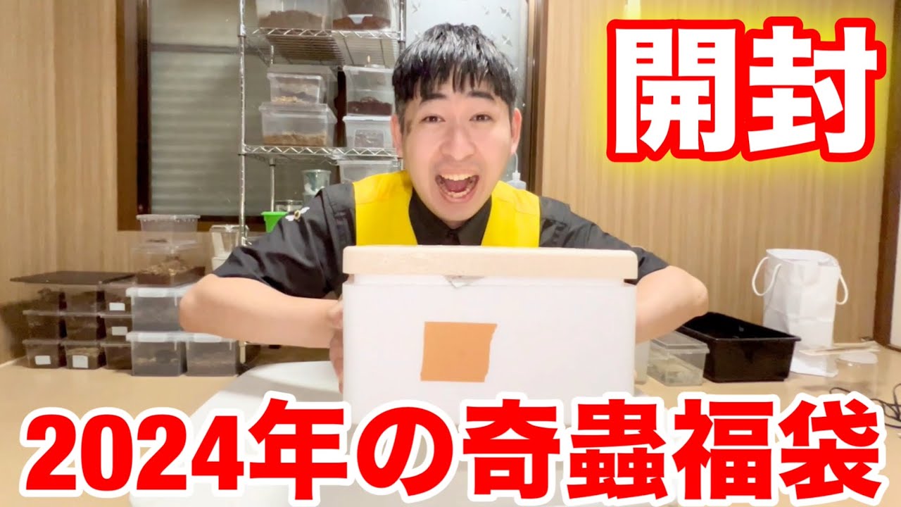 いつまでも元気で　　ガルーダのいる飾り盆 　1500円値下げしました。 What's inside the 10,000 yen tarantula lucky bag? - YouTube