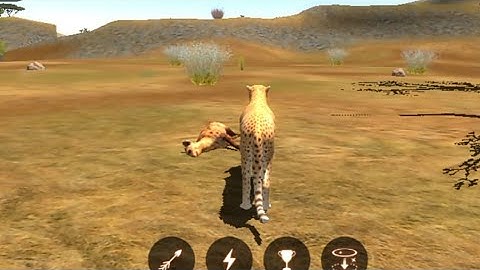 The Cheetah | gameplay walkthrough part 2 | Red Chilli Gaming | Android iOS