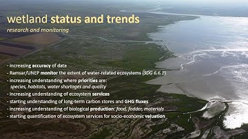 SWS  Europe 2020 Keynotes - Wetlands Policy and Practice