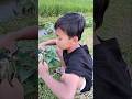 NYARI PAKAN KELINCI