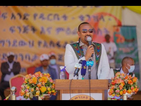 ቪዲዮ: የዱር አበባ ሣር። ከሜዳዎች ማራኪ እንግዶች