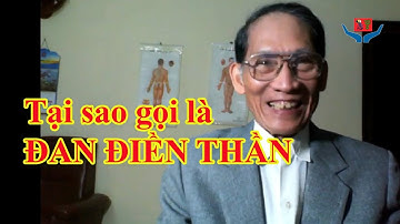 Tại sao gọi là Đan Điền Thần l BsDoNguyenThieu