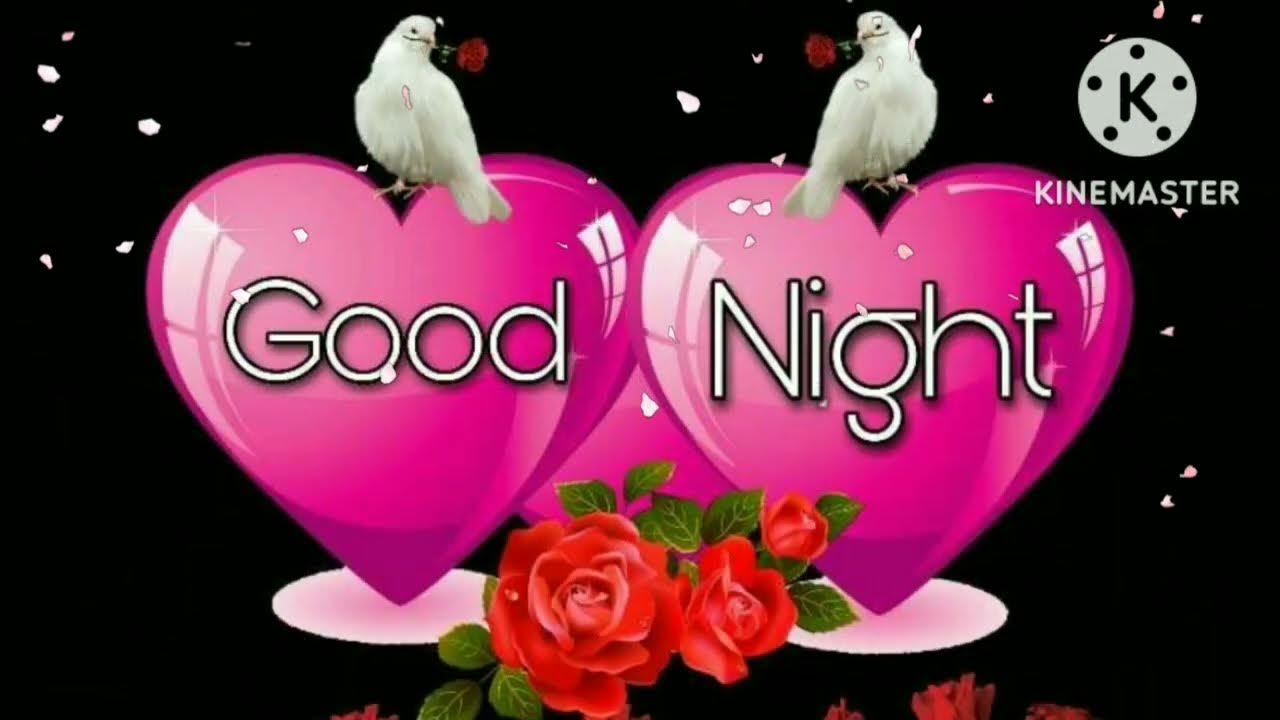 Good Night Love StatusGood Night WhatsApp StatusGood Night Video 