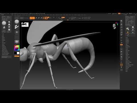 ZBrush with 3DConnexion SpaceMouse Compact