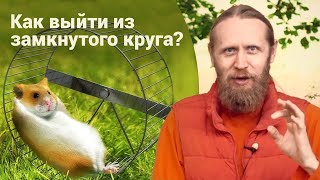 картинка: Если ты — «белка в колесе». Как выйти из замкнутого круга? Где брать энергию для роста?