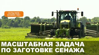 Массовая косовица в Могилевской области /  План на заготовку — почти 2 млн тонн сенажа