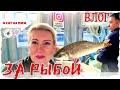 ВЛОГ | ЧТО ПРИГОТОВИТЬ НА ДР? | ЗАЧЕМ ОПЯТЬ КРАСКА | ГДЕ ВЗЯТЬ РЫБУ