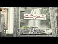 Watch Hasht Bahisht - 6th July 2018 - ARY Qtv Online In HD