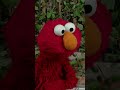 Elmo Checks In with Rocco #sesamestreet