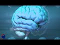 Psychology of Dream