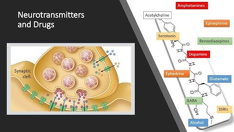 Neurotransmitters