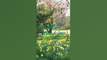 القرآن الكريم/ سورة الكهف بصوت الحاج عامر الكاظمي// اللهم صل وسلم على سيدنا محمد // المسامح كريم .