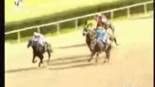 Emi̇rhan- 1500 Kum 17 Handi̇kap Adana