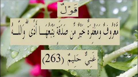 القران الكريم سورة البقرة الاية 263