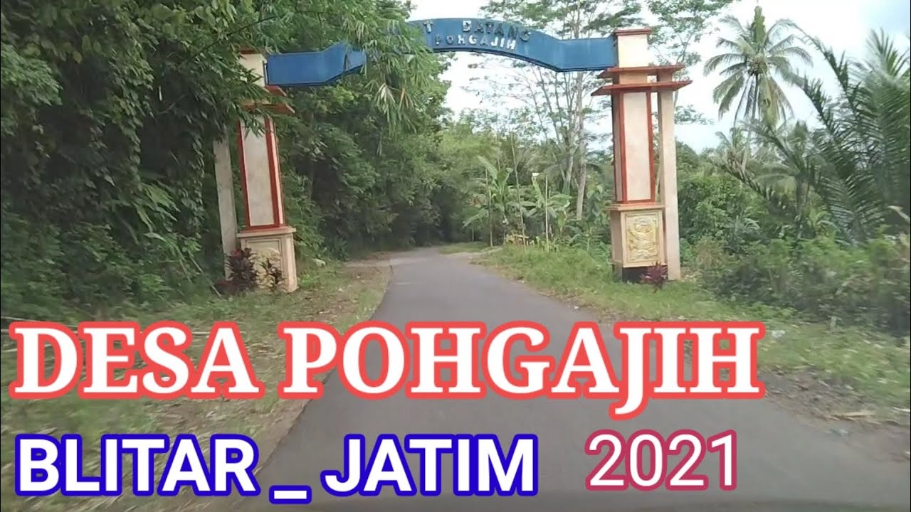 DESA POHGAJIH--- BLITAR--- JATIM 2021