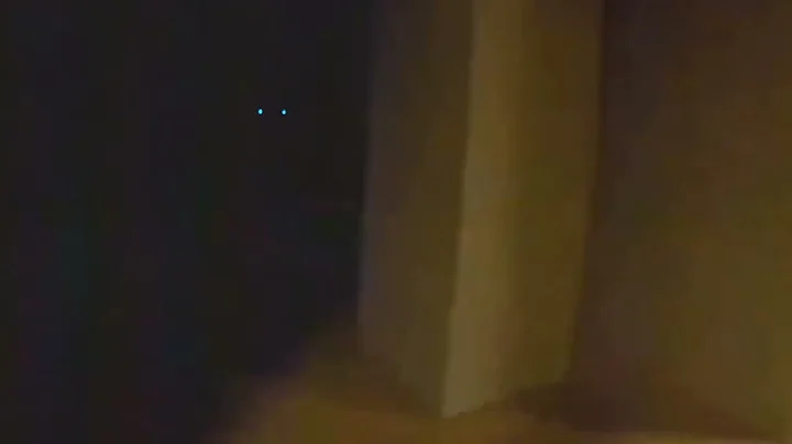 Noot noot version Horror