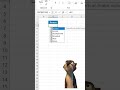 Excel Formulas hack | Microsoft excel for beginners