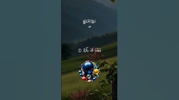 بسم الله ماشاء الله تبارك الله صوت وتلاوة رائعه ما شاء الله