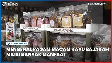 Mengenal Ragam Macam Kayu Bajakah, Miliki Banyak Manfaat Untuk Kesehatan Dengan Harga Terjangkau