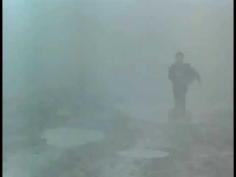 lika qavjaradze natvris khe. ლიკა ქავჟარაძე ნატვრის ხე