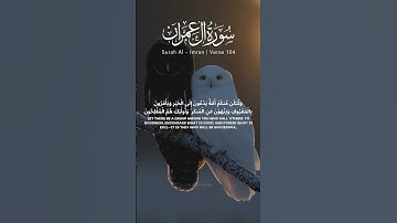 سوره آل عمران آیه 104 105 [تلاوت قرآن] #تلاوت #قرآن #قرآن #ترجمه #سوره