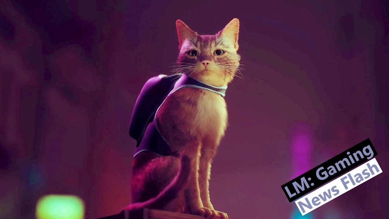 Stray, PS5's Cyberpunk Cat Game, Gets a Release Date - IGN