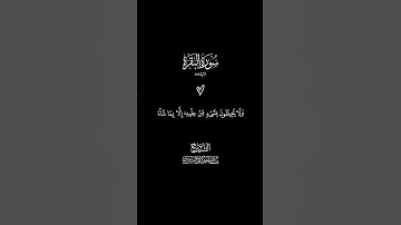آية الكرسي الآية 255 سورة البقرة #ياسر_الدوسري