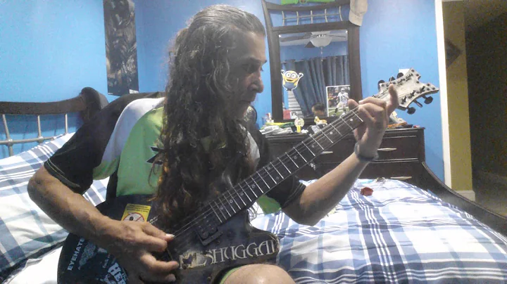 Ronnie Snow ( guitarist )