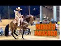 ⭐ Moisés Navarro | Concurso de Caballos Bailadores | Santa Cruz del Valle, Jalisco