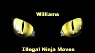 Williams - Illegal Ninja Moves